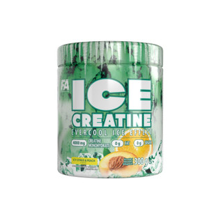 آیس کراتین طعمدار FA نوتریشن 300 گرم | FA ICE Creatine